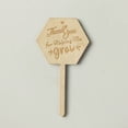 thumbnail image 3 of Divertidas etiquetas de madera para estacas de plantas, gracias por ayudarme a crecer, marcador de plantas, letrero para semillas, flores, jardín en maceta (4 piezas), 3 of 5