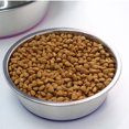 thumbnail image 2 of Tiberpet Stainless Steel Dog Bowls, Water & Food Bowl with Anti-Skid Rubber Base for Large Pet, Metal Bowl Spill Proof Dog Dish with Silicone Feeding Mat, 2 of 8