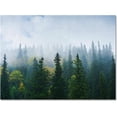 thumbnail image 3 of Green Pine Forest Area Rugs, Modern Abstract Smoke Filled Landscape Printed Carpet, Soft Machine Washable Rug For Kids Bedroom Living Room Front Entrance Office Study Decor, 3 of 7