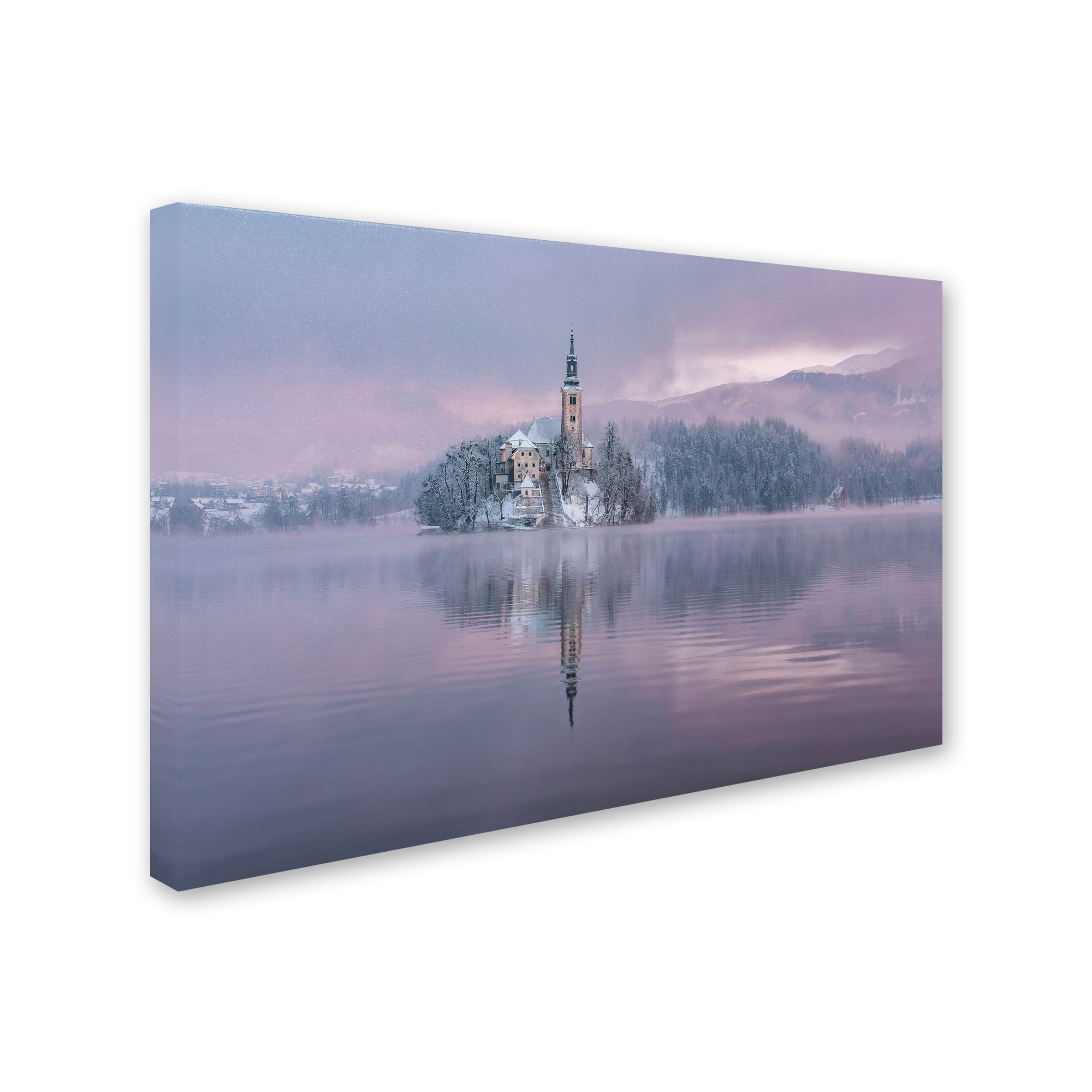 Ales Krivec 'Frozen Fairytale' Canvas Art
