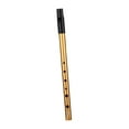 thumbnail image 3 of JWQFBC Irish Penny Whistle Musical Instruments Aluminum Alloy Portable Flute Whistling D Key gold, 3 of 9