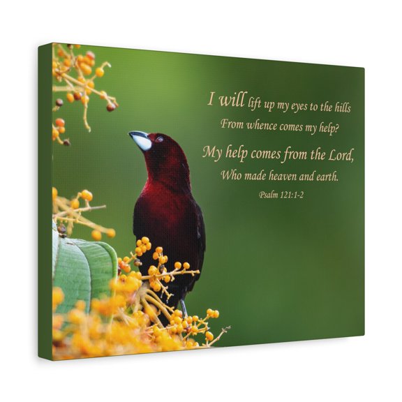 Scripture Walls Psalm 121:1-2 Heaven and Earth Bible Verse Canvas Christian Wall Art Ready to Hang Unframed