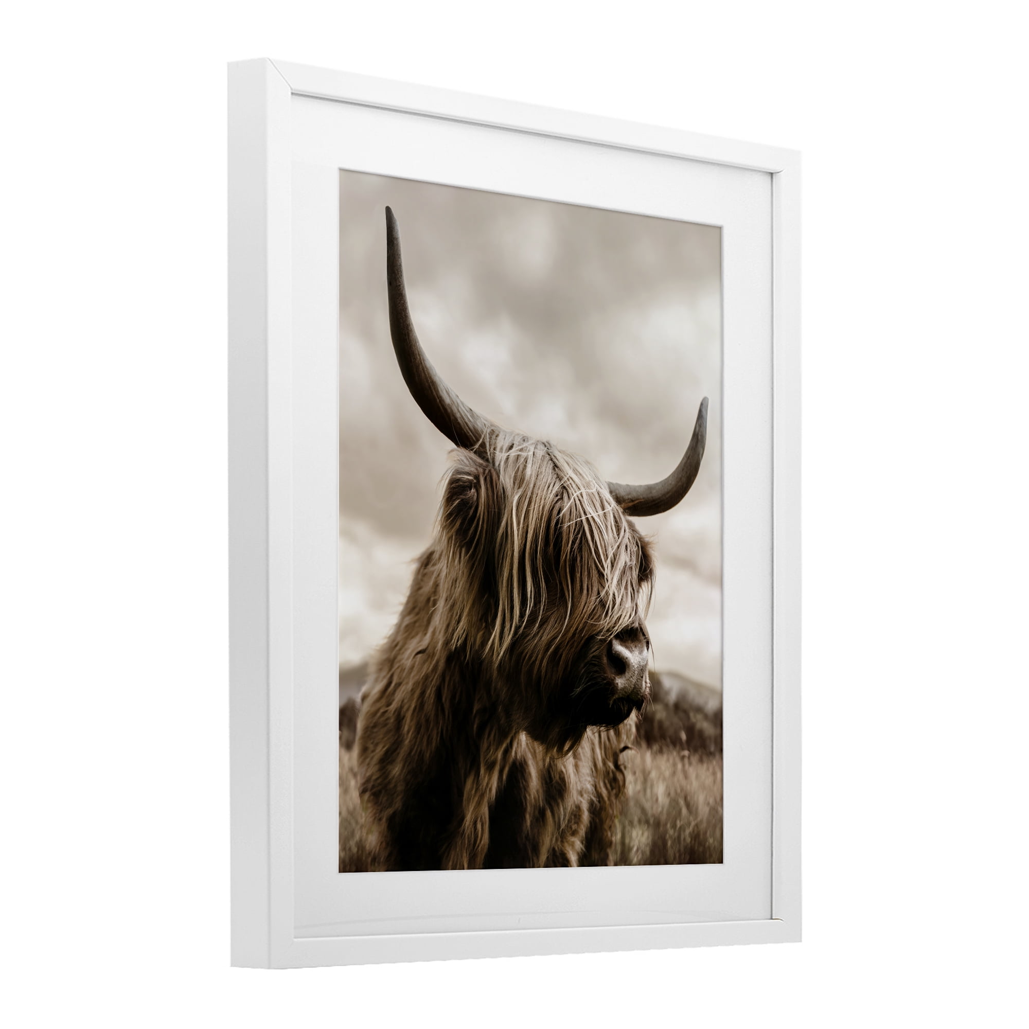Stupell Industries Searching Cattle Gaze White Framed Print Under Glass, design by CAD Designs