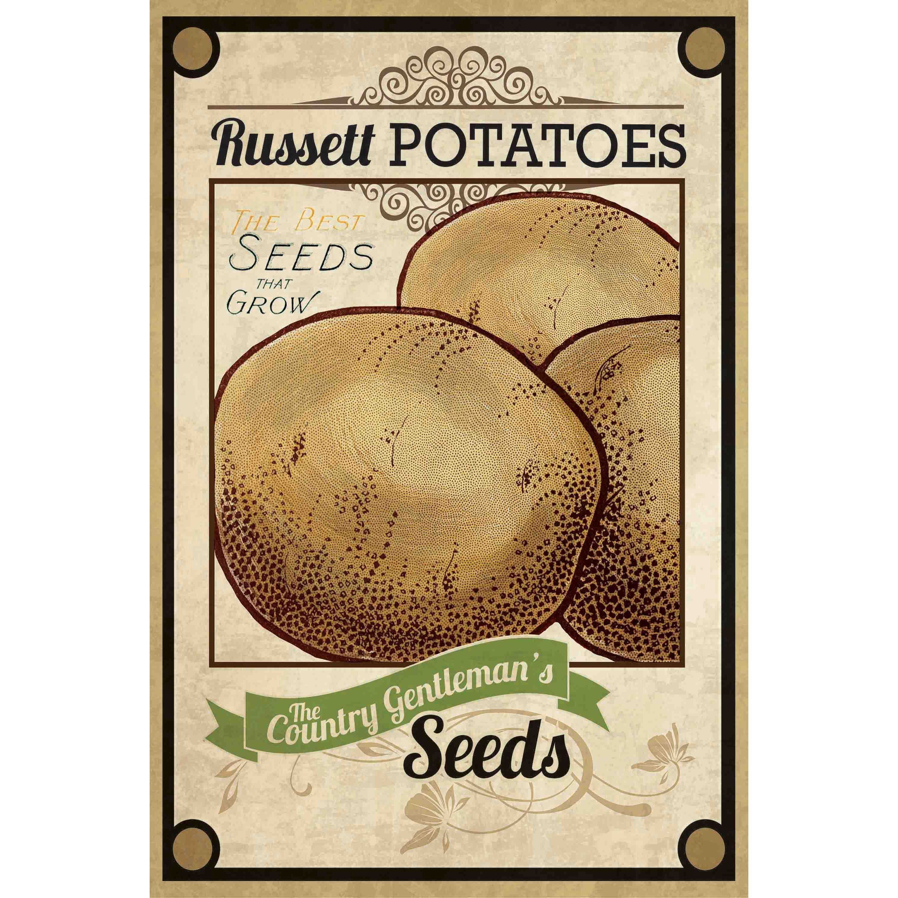 Marmont Hill "Seed Packet Potatoes" Painting Print on Canvas