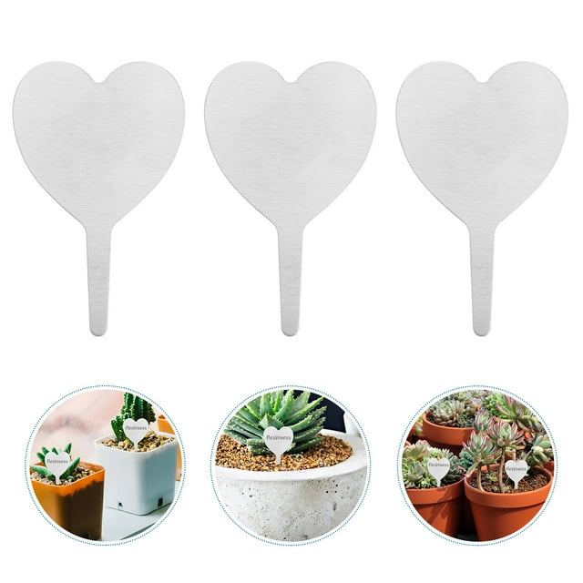unbranded 50Ud Marcadores De Plantas En Inoxidable Plateado Para Identificación En Jardinería