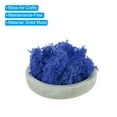 thumbnail image 3 of Uxcell 3.5 OZ Fake Moss Preserved Reindeer Moss Artificial Moss Lichen Centerpieces Decor Faux Moss Dark Blue, 3 of 6