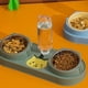 thumbnail image 3 of Food bowl for small cats and dogs, water bowl, pet food bowl, dog food, storage, nonslip, dog harness, 3 of 5