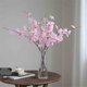 thumbnail image 5 of Jarrón de vidrio transparente con flores artificiales de durazno for decoración de mesa de salón interior., 5 of 5