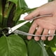 thumbnail image 2 of Cortador de ramas - Cortador de borde redondo profesional Cortador de ramas de jardín de acero inoxidable Herramientas para bonsáis, 2 of 5