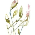thumbnail image 2 of Goldberger, Jennifer 19x24 Gold Ornate Wood Framed with Double Matting Museum Art Print Titled - Blooming Stems I, 2 of 4