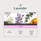 thumbnail image 3 of Aceite esencial AROMAPLAN Hotel Scents Lavanda 50 ml, 3 of 6