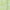 Lime Twist Open Ditsy, variant on Secret Treasures Women’s Sleepwear Short Knit Chemise, Sizes XS-3X