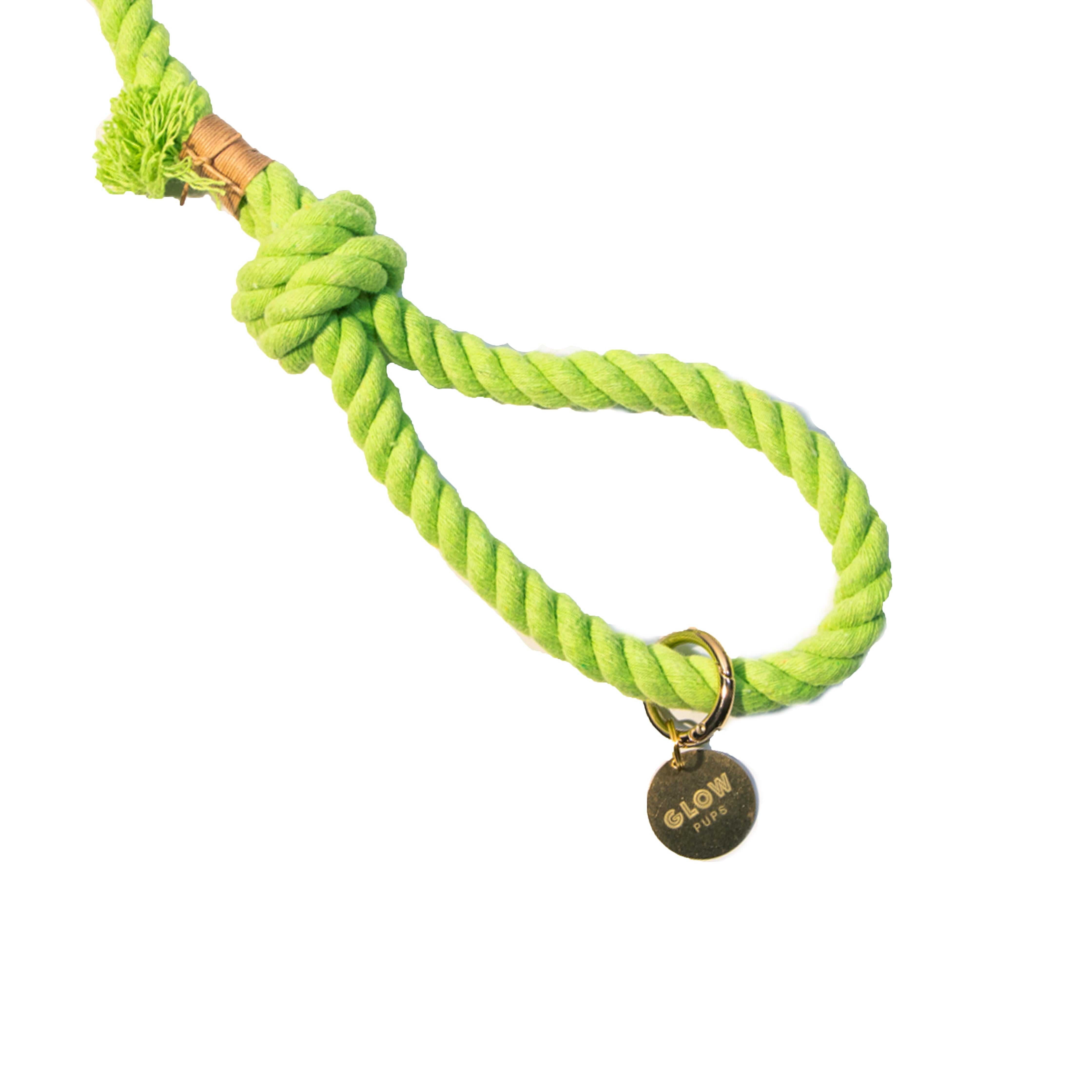Lime Green Boho Chic Style Dog Leash - Glow Pups