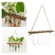 thumbnail image 4 of Jardinera colgante de pared, estaciones de propagación de plantas, terrario de plantas con soporte de , maceta de , jarrón de tubo de 1 tubo de Macarena Jarrón hidropónico colgante, 4 of 8