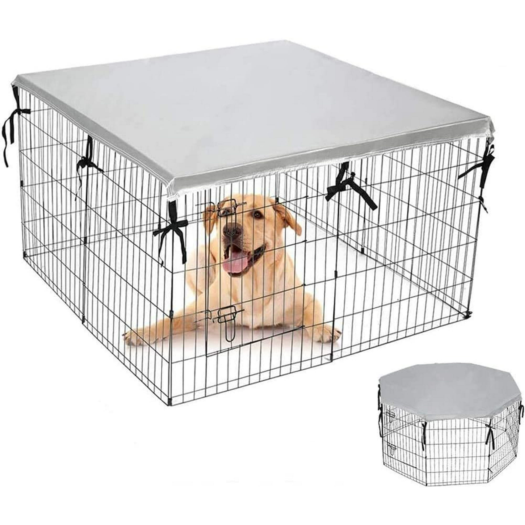 Do You Put Water In A Dog Crate