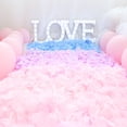 thumbnail image 5 of 1000 Pcs Rose Petals, Non-woven Fabric Artificial Petals for Romantic Night, Wedding, Event, Party, Valentine Decor, Ready to Use, 5 of 8
