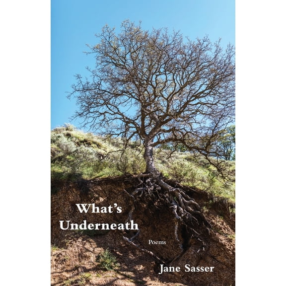What's Underneath, (Paperback)