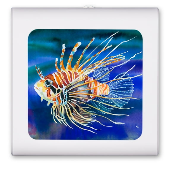 Plug in Dimmable LED Night Light with Dusk to Dawn Auto Sensor, Adjustable Brightness, Warm Light, Auto On/Off Nightlight for Bathroom, Hallway, Nursery, Bedrooms - Clown Fish