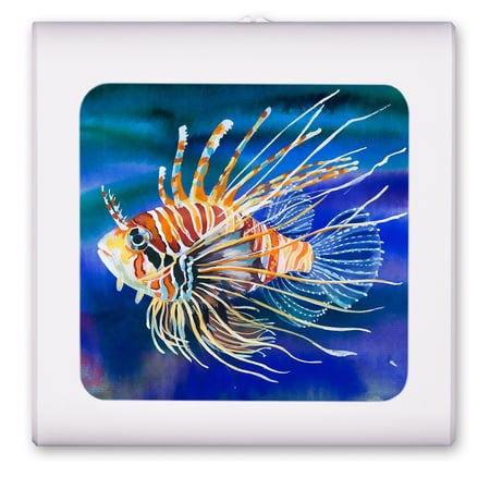 Plug in Dimmable LED Night Light with Dusk to Dawn Auto Sensor Adjustable Brightness Warm Light Auto On/Off Nightlight for Bathroom Hallway Nursery Bedrooms - Clown Fish