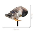 thumbnail image 3 of 1 Pack Acrylic Duck Garden Stake, Garden Courtyard Insert Ground Decor, Double-side Duck Pattern Stake Yard Art Decor Standing Animal Lawn Ornament for Backyard Patio, 3 of 9