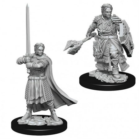 Dungeons and Dragons: Nolzur's Marvelous Unpainted Miniatures Male Human Cleric
