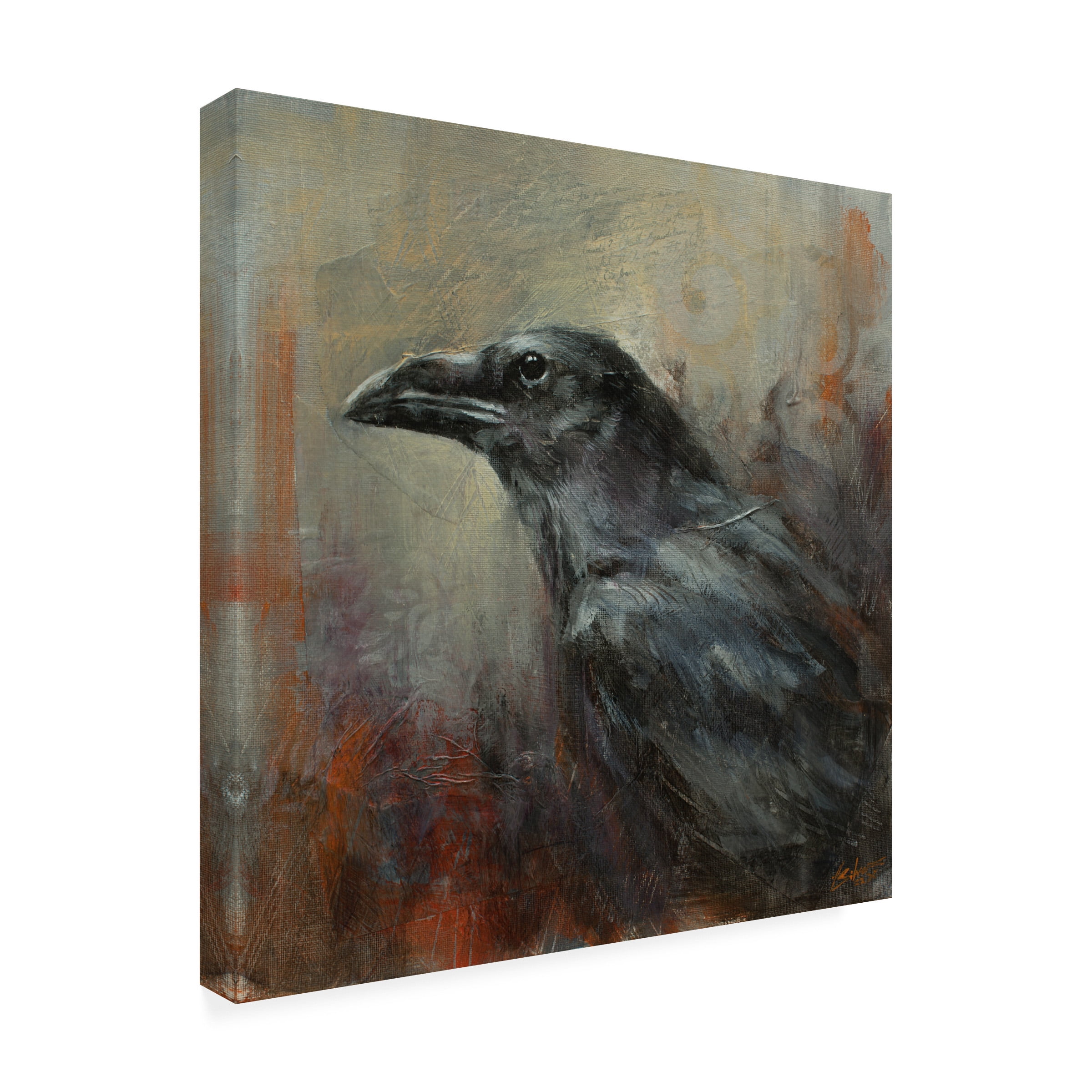 Canvas Wall Art - John Silver 'Raven 1' Wall Art for Living Room, Bedroom, or Office Décor by Trademark Fine Art - 18 x 18 Inches