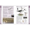 thumbnail image 4 of Oiseaux d'Amérique du Nord, 4 of 5