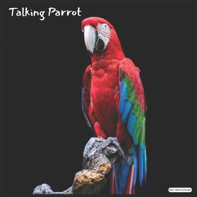 Talking Parrot 2021 Wall Calendar Official Parrot Wall Calendar 2021