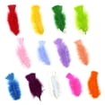 thumbnail image 1 of Zucker Feather Products Turkey Feather Flats Mix Dyed - 4-6" - Assorted Mix, 1 of 1