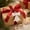 A003- White, variant on Sequin Bow Christmas Tree Ornaments, Set of 2, Champagne Gold, for Holiday Hanging, Christmas Decorations