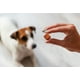 thumbnail image 2 of Desparasitante Nexgard Spectra 7-15kg Pack 6pz Para Perros, 2 of 4