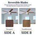 thumbnail image 3 of Prominence Home Ashby 52" Ceiling Fan w/Light, Remote, & 5 Blades, Oak/Chrome, 3 of 12