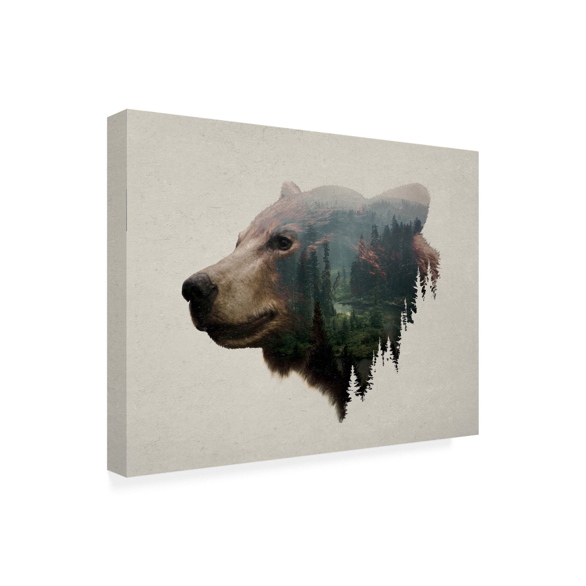 Trademark Fine Art 'Pacific Northwest Black Bear' Canvas Art by Davies Babies