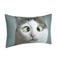 thumbnail image 2 of Bingfone Funny Cat Standard Size Pillowcase, Long Staple Pure Cotton Envelope Closure Pillow Cover,20"X30", 2 of 9