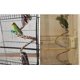 thumbnail image 5 of Bird Rope Swing Toy Colorful Cotton Perch for Parrots Budgie Parakeet Cockatiel Conure Finch Lovebird, 5 of 5