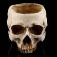 thumbnail image 1 of Skull Planter Pot Skull Shaped Head Design Flower Pot Planter Container for Home Office Indoor Desk Decorations, 1 of 7