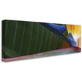 thumbnail image 2 of Trademark Fine Art "Bird of Paradise Abstract" Canvas Art by Kurt Shaffer, 2 of 3