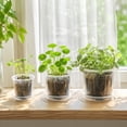 thumbnail image 4 of 4 Inch Clear Nursery Pots for Plants with Sacuers, Plastic Flower Pots with Drainage Holes, Variety Pack Seedlings Garden Pot for Indoor Outdoor, 4 of 7