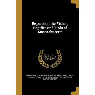 Reports on the Fishes, Reptiles and Birds of Massachusetts (Paperback)