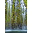 thumbnail image 2 of Zhu, Hua 13x18 Gold Ornate Wood Framed with Double Matting Museum Art Print Titled - Mossbrae Falls, 2 of 4