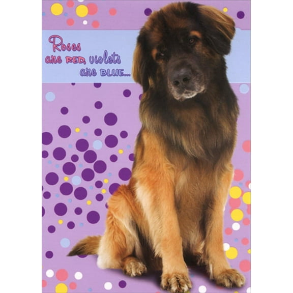 Designer Greetings Roses are Red, Violets are Blue : Brown Dog Across the Miles : Long Distance Birthday Card