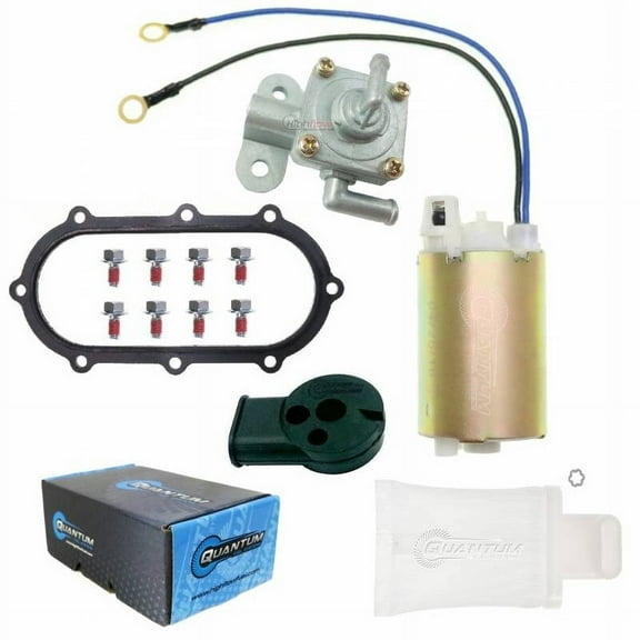 Quantum HFP-381-T Electric Fuel Pump
