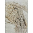 thumbnail image 2 of Addison Rugs Mayfield Premium Machine Washable Transitional Abstract Beige Rectangle Rug, 5' x 7'6", 2 of 7