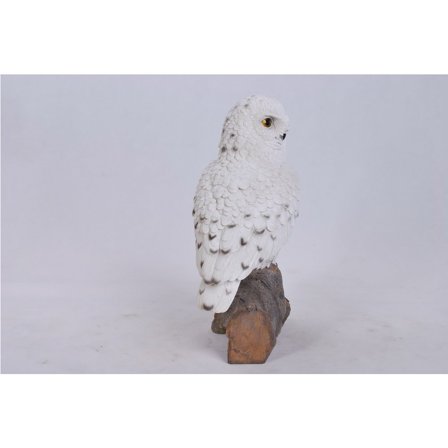 SNOWY OWL ON STUMP