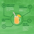 thumbnail image 3 of Sunwarrior Classic Protein Chocolate Organic Vegan Protein Powder with BCAA 375g, 3 of 8