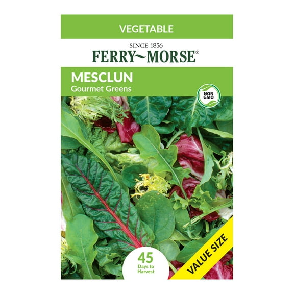 Ferry-Morse Economy 2.2G Mesclun Gourmet Greens Annual Vegetable Seeds, Full Sun