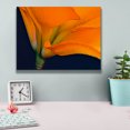 thumbnail image 4 of Epic Graffiti 'Lily Dressed In Orange' by Pamela Plummer, Canvas Wall Art, 16"x12", 4 of 8
