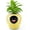 Yellow, variant on Smart AI Flower Pot with Time-Temperature Display and Expressive Animations for Indoor Decor and Gifts (Green)
