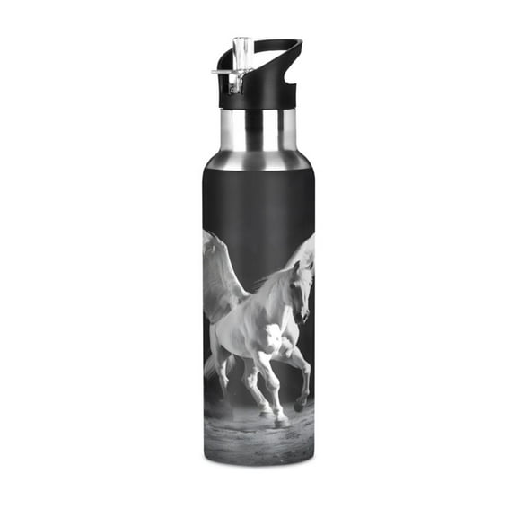 ALAZA A Horse Water Bottle Insulated Flask Stainless Steel Straw Lid 20 oz