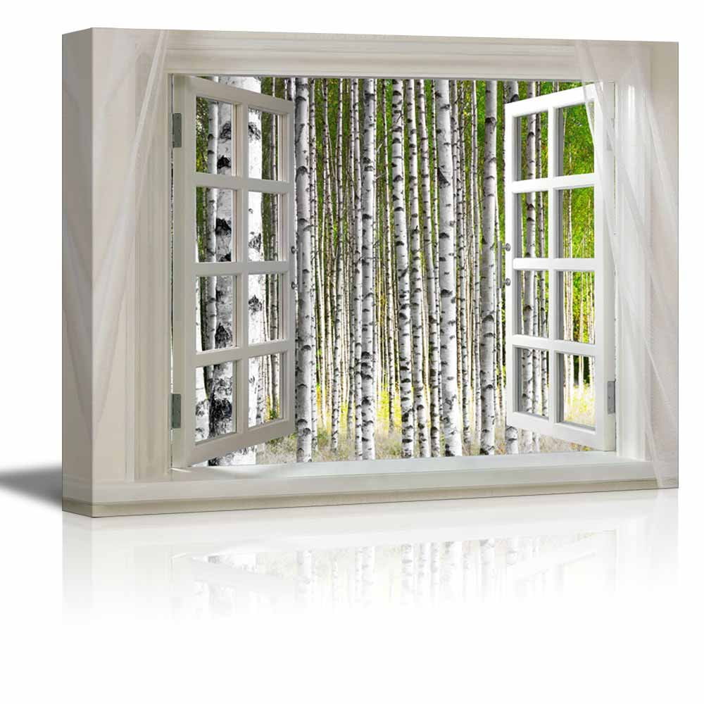 Wall26 Glimpse into Birch Trees Forest Out of Open Window Canvas